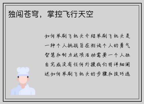 独闯苍穹，掌控飞行天空